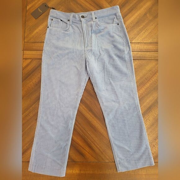 $250 MSRP rag & bone Riviera Cordory Ankle Straight Leg Size 32 Blue - Picture 3 of 11